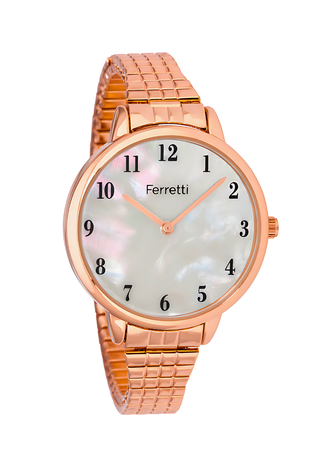 Delicate Analog Watch Ladies | Ferretti FT17103
