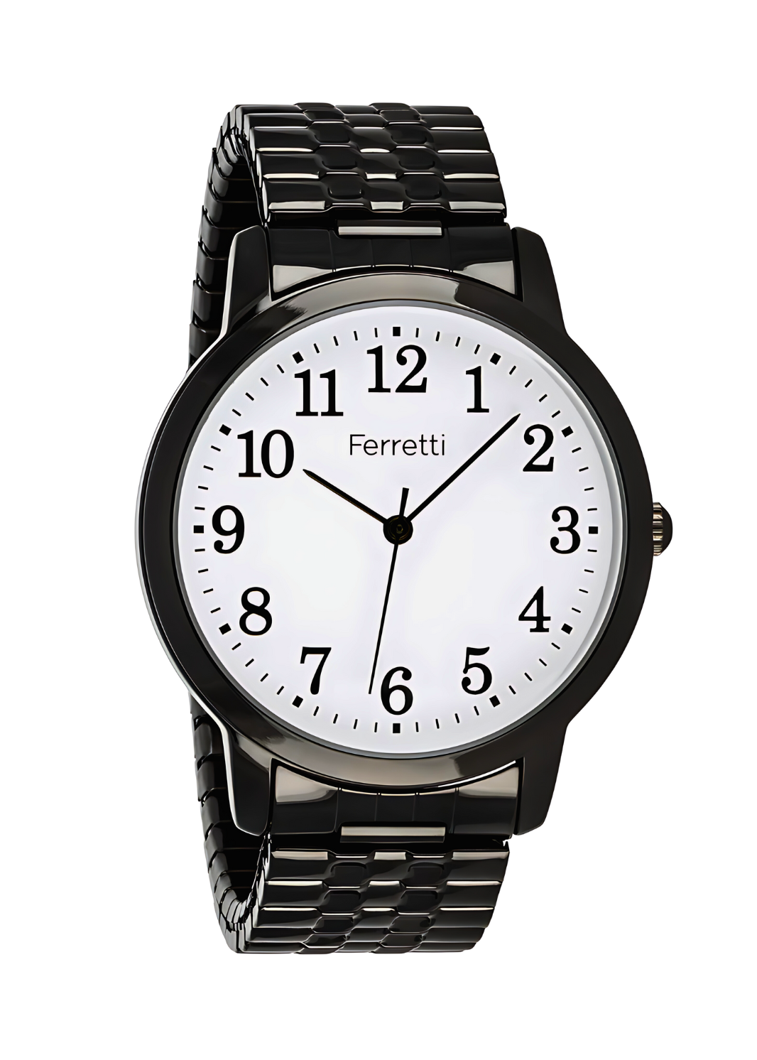 Classic Analog Watch Unisex | Ferretti FT16105
