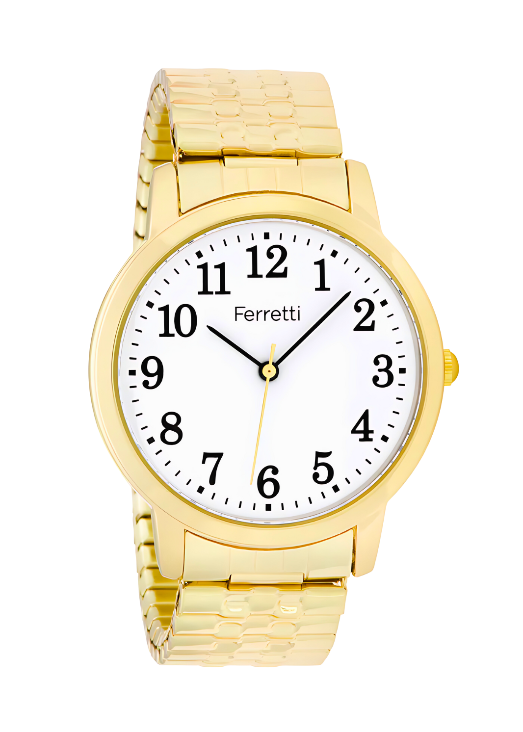 Classic Analog Watch Unisex | Ferretti FT16101