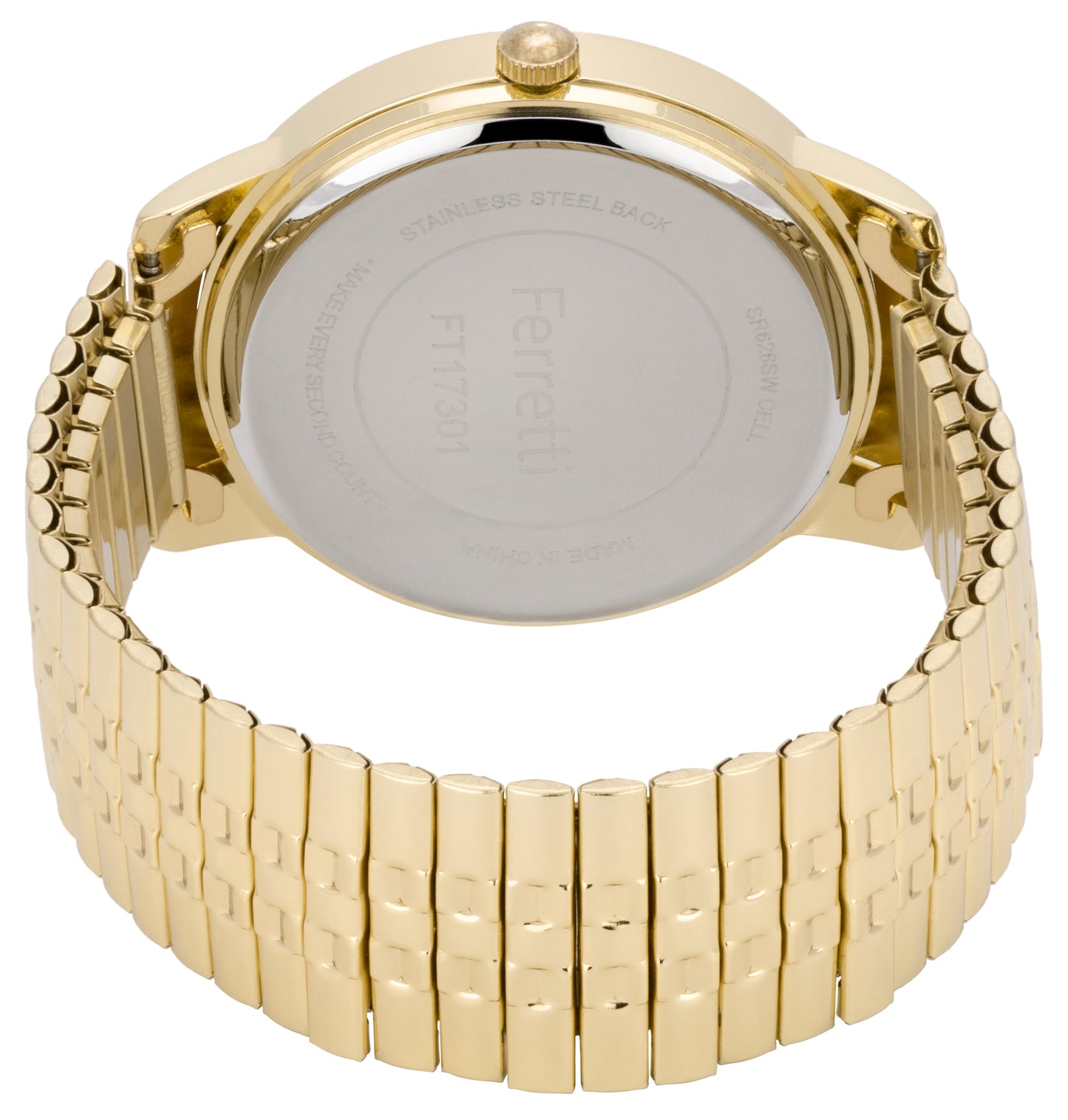 Large Analog Watch Unisex | Ferretti FT17301