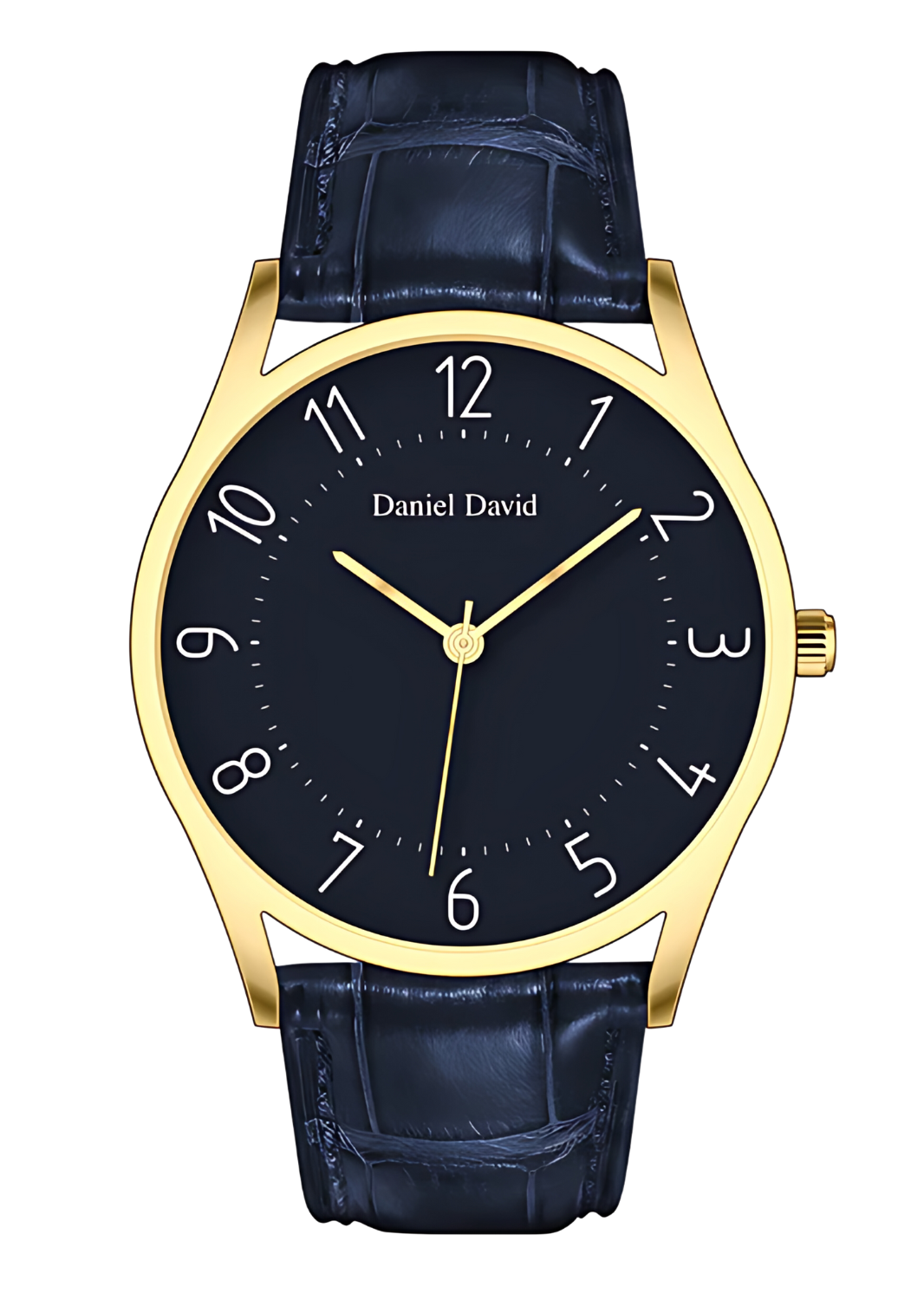 Daniel David Elegant Wristwatch 21103