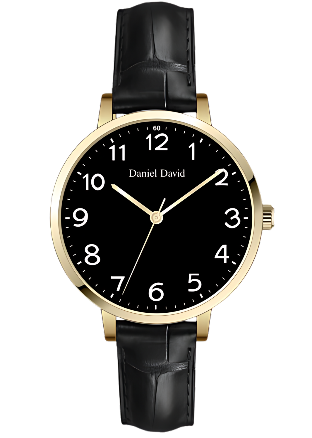 Daniel David Classic Mens Watch DD2102