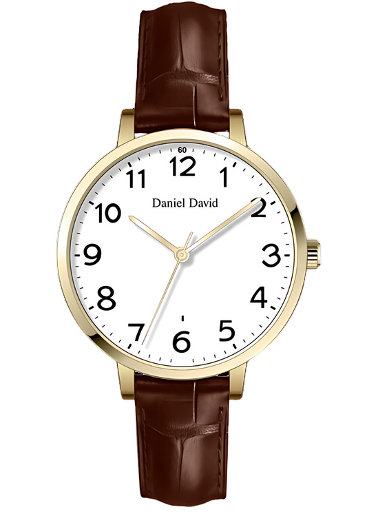 Daniel David Classic Mens Watch DD2101