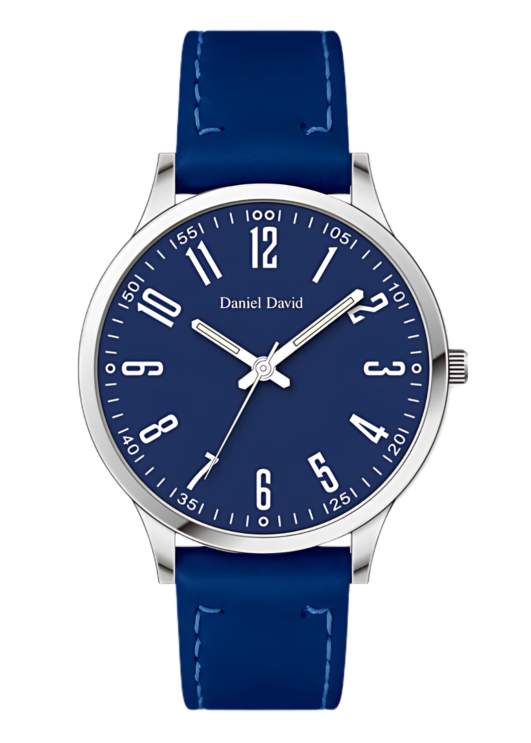 Daniel David Large Professional Watch DD20802