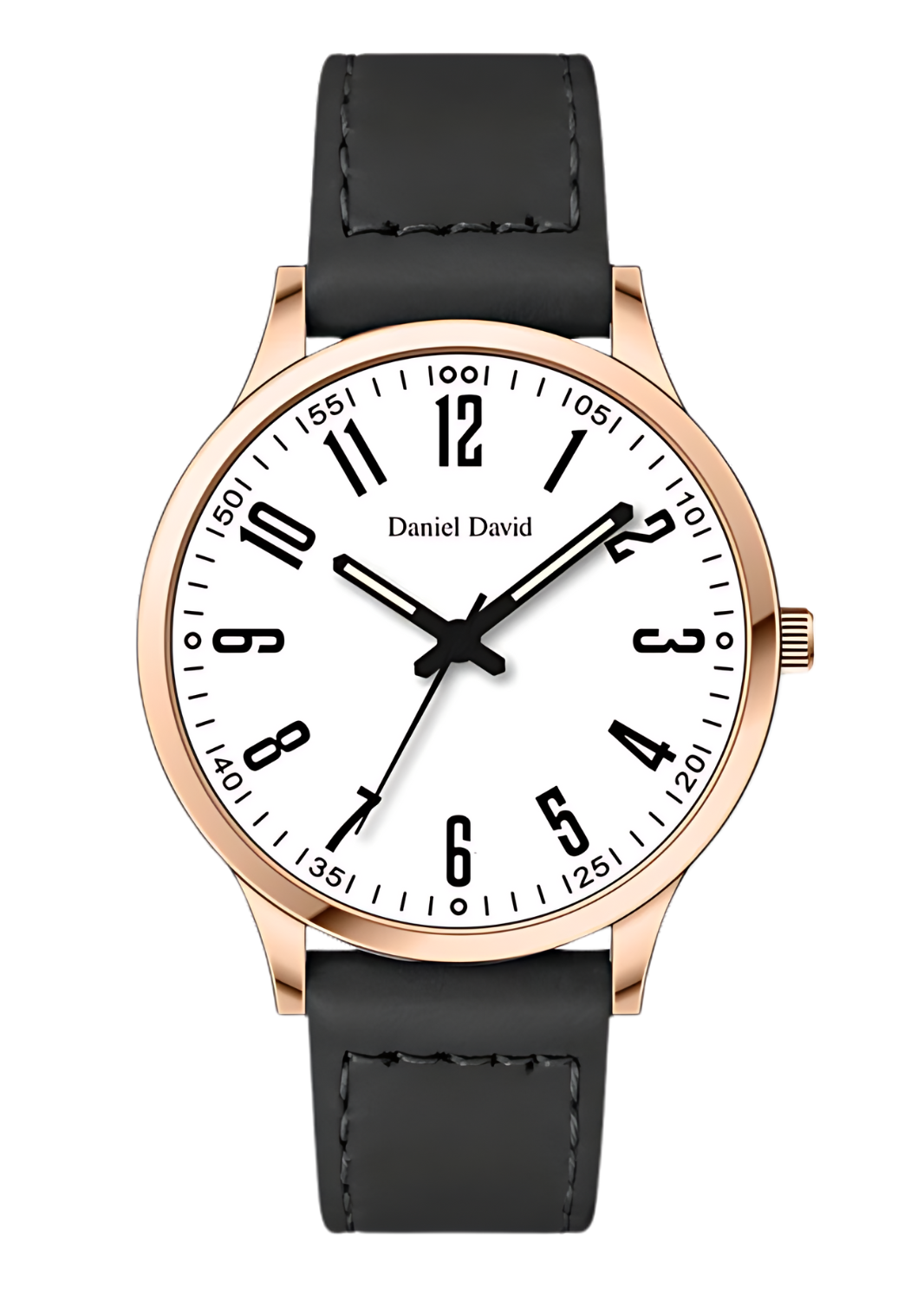 Daniel David Large Professional Watch DD20801