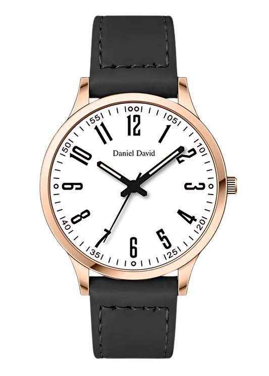 Daniel David Large Professional Watch DD20801