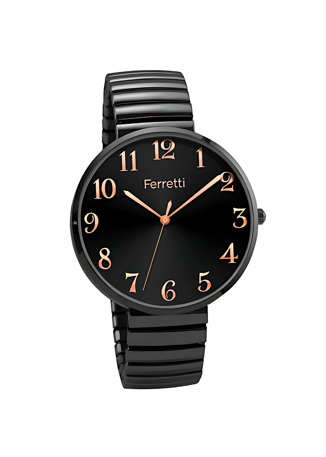 Classic Analog Watch Unisex | Ferretti FT17802