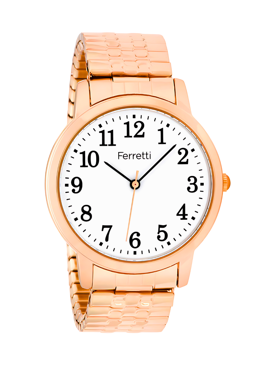 Classic Analog Watch Unisex | Ferretti FT16104